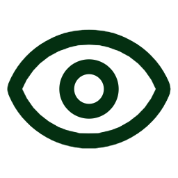 vision